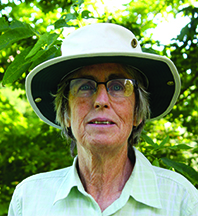 franlawlor Fran Lawlor Land Manager