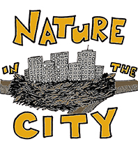 website-programs-NITC Nature in the City School Program