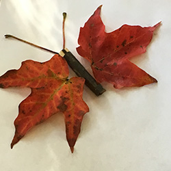 butterfuly leaf nature art 250×250 web
