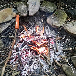 fire250x250 web
