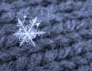 A picture of a branched snow crystals clinging to a piece of fabric.