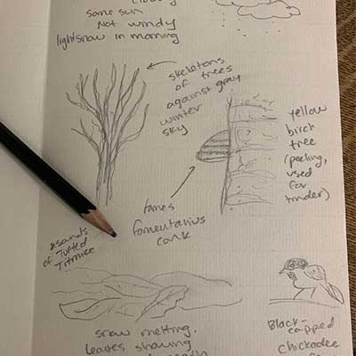 photo of a page in a nature journal with the pencil drawing pictures and notes