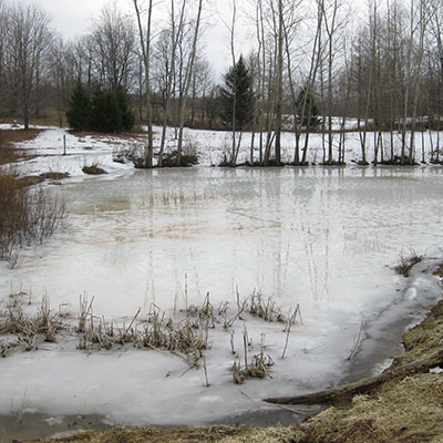 view of phillips pond in early spring with ice