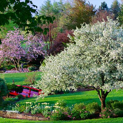 Mother's Day Garden Tour at Sycamore Hill Gardens – Welcome to Baltimore  Woods Nature Center