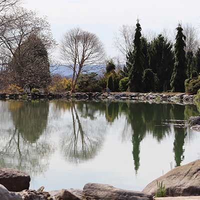 Mother's Day Garden Tour at Sycamore Hill Gardens – Welcome to Baltimore  Woods Nature Center