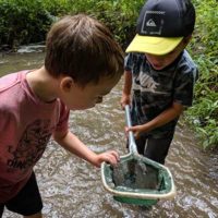 two boys catching creatures in stream