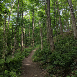 Valley-trail-summer-400×400