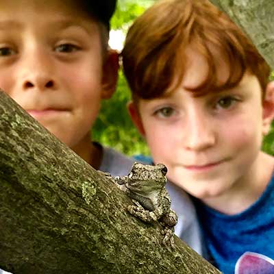 two-boys-discover-tree-frog