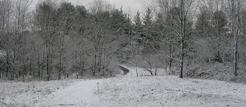 arboretum trail at Baltimore Woods in snow