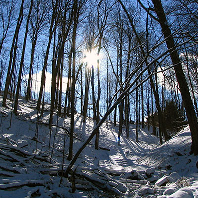 winterblues-400×400