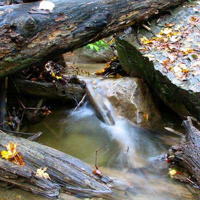 stream-in-fall-close-up-