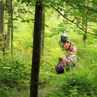 kids hiking through the woods in a line