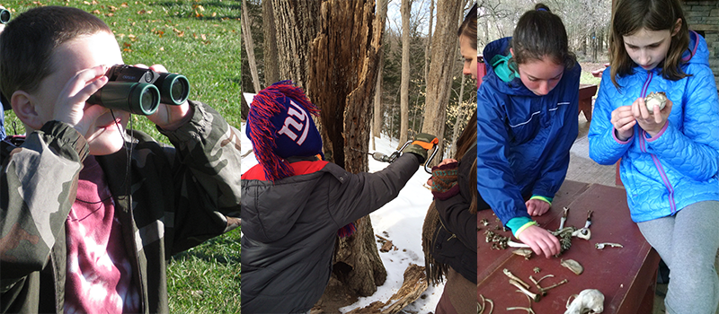 images of kids tapping trees, studying animal artifacts, and a boy using binoculars