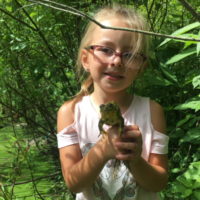 little girl holding frog from pond