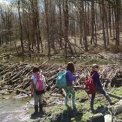 kids with backpacks long the stream edge in spring