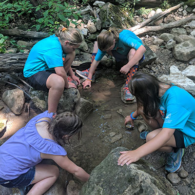 kids explore the stream bed