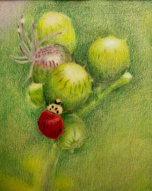 Artwork by a student of a ladybug on a plant