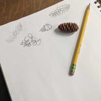 nature-journaling-400