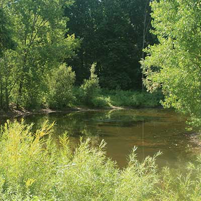 phillips-pond at Baltimore Woods