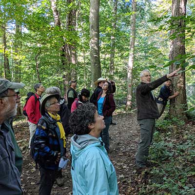 group of adults walking along a trail and looking at something out of view up in the trees