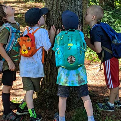 four children with noses pressed to bark of a big tree