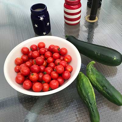 summer-garden-harvest with bowl of cherry tomoatoes and cucumbers on a patio table