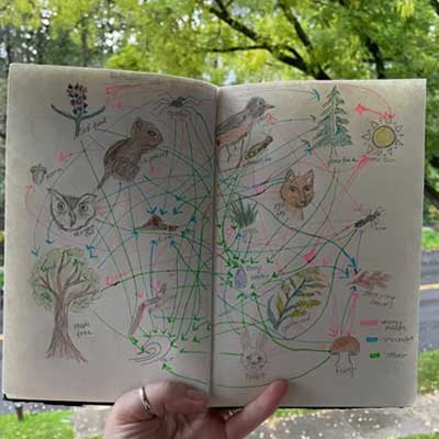 Nature journal prompts — Journaling with Nature