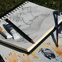 art supplies sketchbook and paints in grass