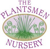 The Plantsmen Nursery logo