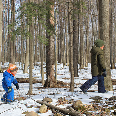 NLE group walking through the snowy woods at Baltimore Woods.
