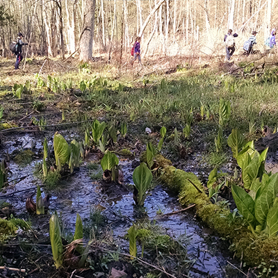 Trail Schoolers going across Griffiths Flats at Baltimore Woods.