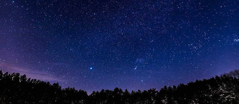 Image of a starry night sky with a treeline.