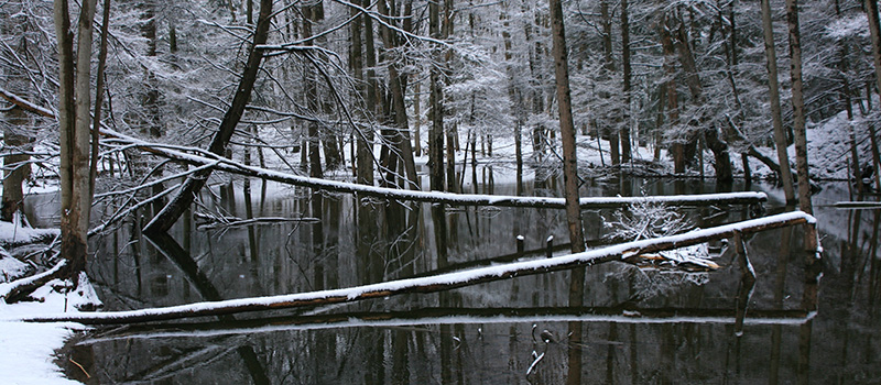 Picture of a pond in winter.