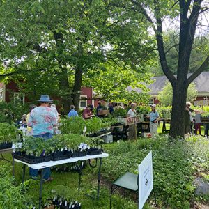 Shoppers at the Baltimore Woods Annual Native Plant Sale