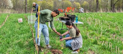 Two volunteers planting trees at an Earth Day program at Baltimore Woods.