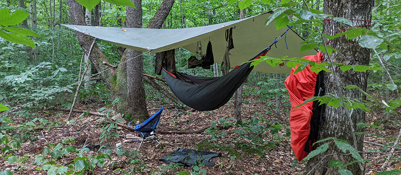 Campground set up with a hammock in the woods.