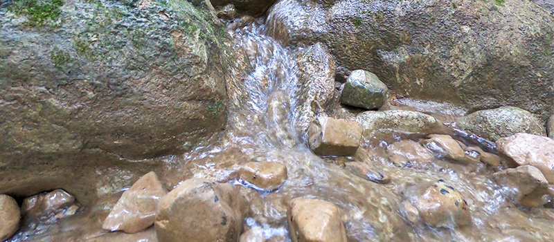rocks with a small stream flowing over