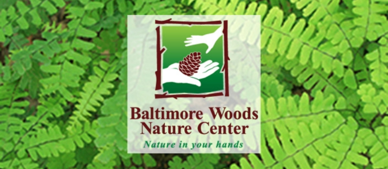 Fern background with Baltimore Woods Nature Center logo