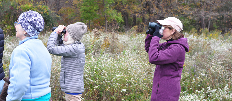 Program participants using binoculars