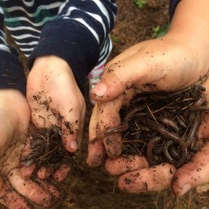 NLE campers' hands with worms.