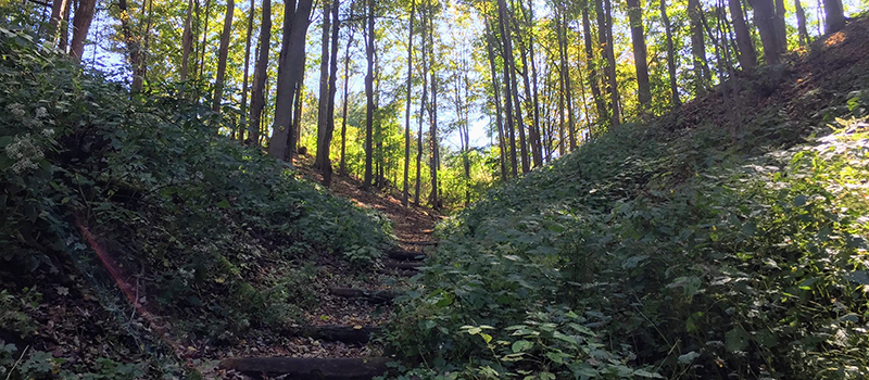 Valley Trail at Baltimore Woods Nature Center.