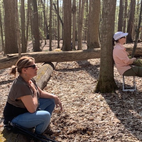 Forest Therapy Walk program participants.