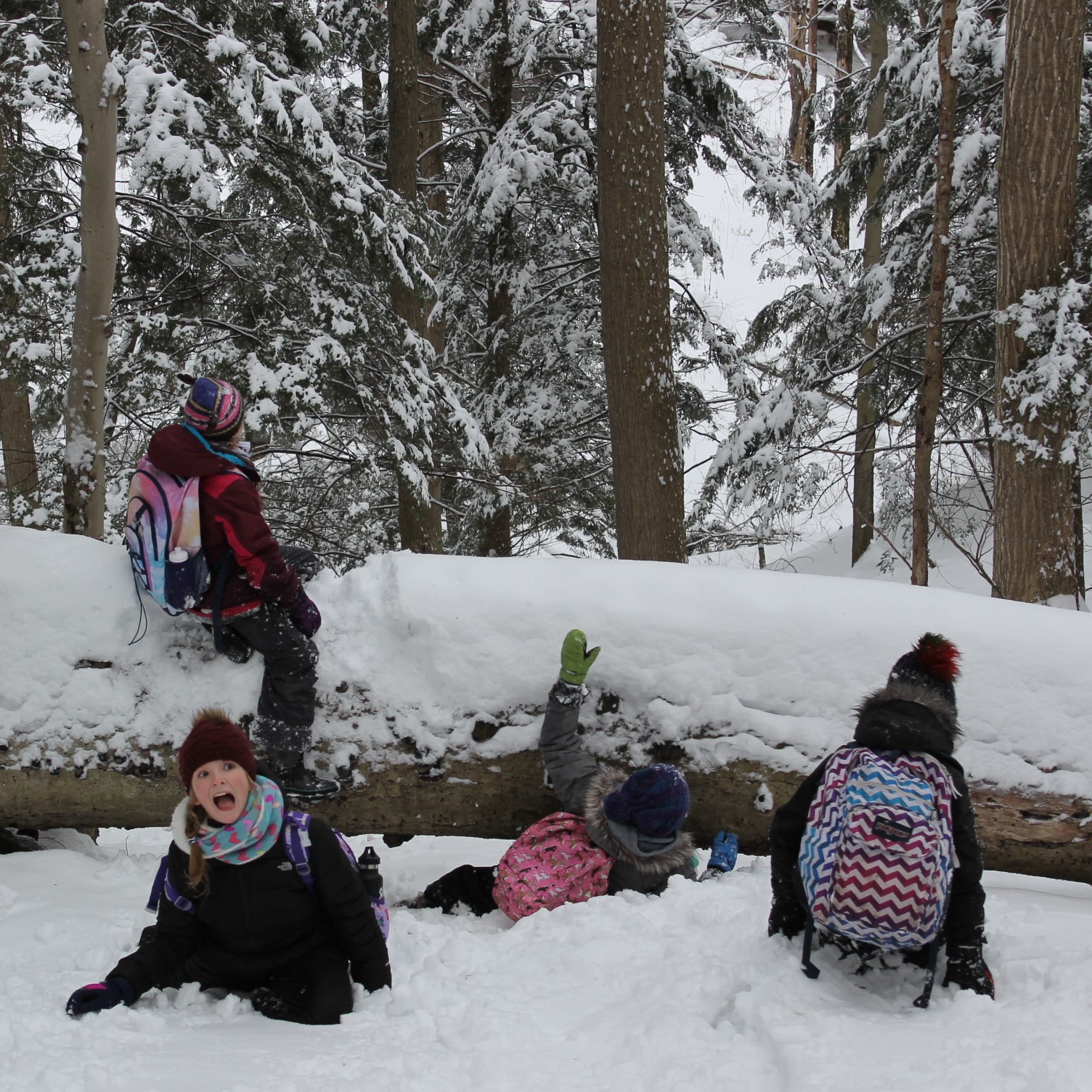 Winter Break Campers at Baltimore Woods