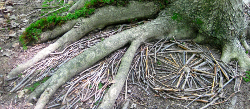 Nature tree art