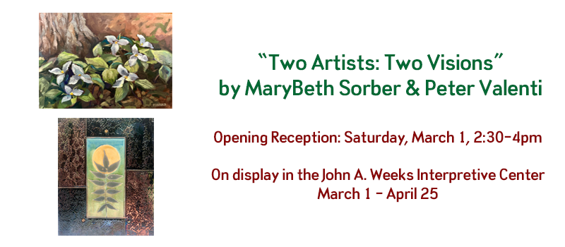 "Two Artists: Two Visions" exhibit information for the Baltimore Woods Nature Center gallery.