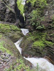 IMG_7899 Photo of a waterfall at Watkins Glen (taken by Caitlyn Brooks)