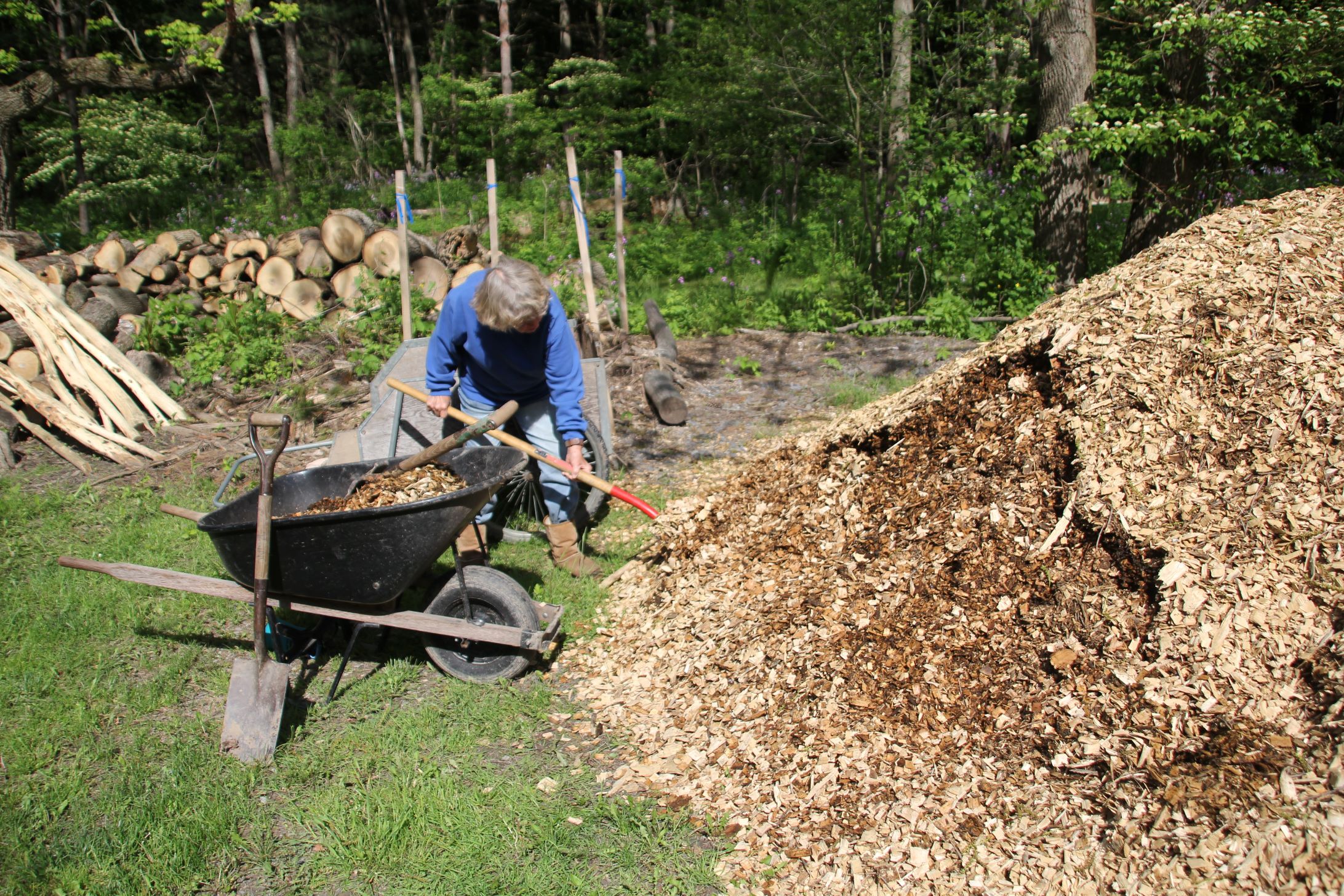 Volunteer working on a project outdoors at Baltimore Woods Nature Center.
