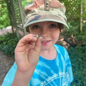 2025 Baltimore Woods summer camper with a frog
