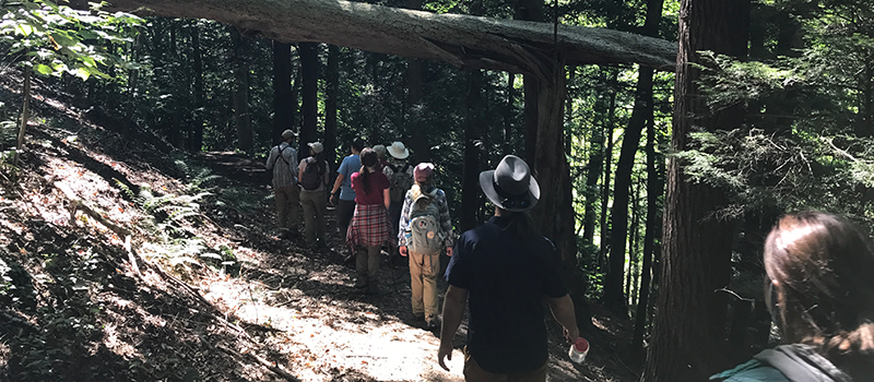 Staff hiking at Baltimore Woods Nature Center.
