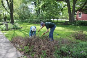 Volunteers removing invasives at Baltimore Woods Nature Center